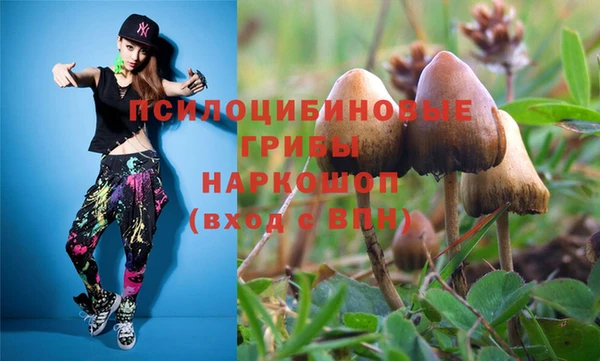 PSILOCYBIN Богородск